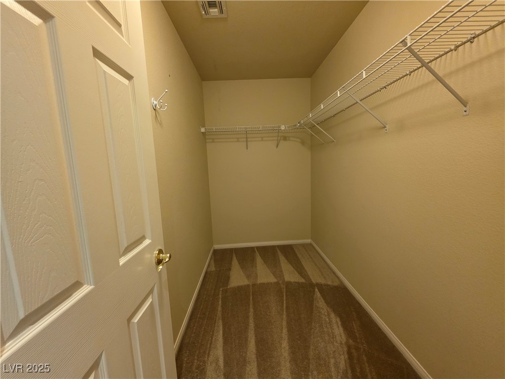 10772 Glacier Rapids Court Property Photo 23