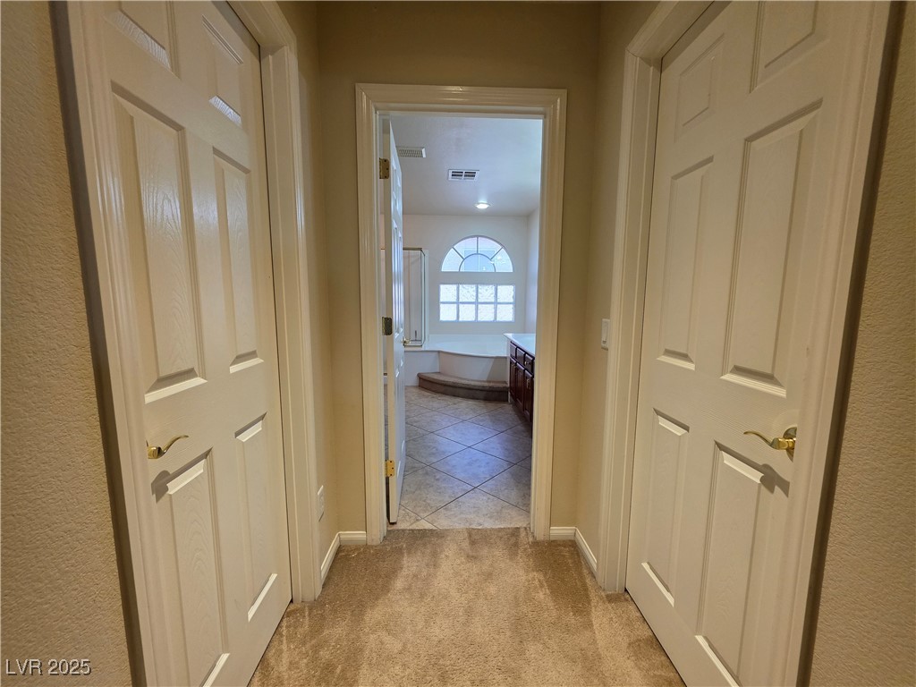 10772 Glacier Rapids Court Property Photo 28