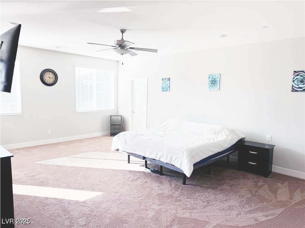7855 Skyler Falls Lane Property Photo 18