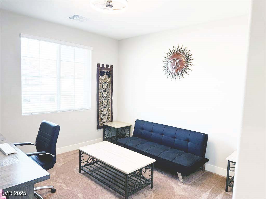 7855 Skyler Falls Lane Property Photo 23