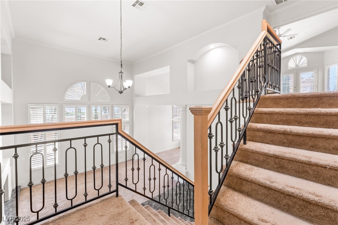 8800 Cortile Drive Property Photo 37
