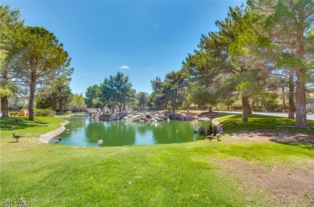 9937 Whalers Landing Court Property Photo 38