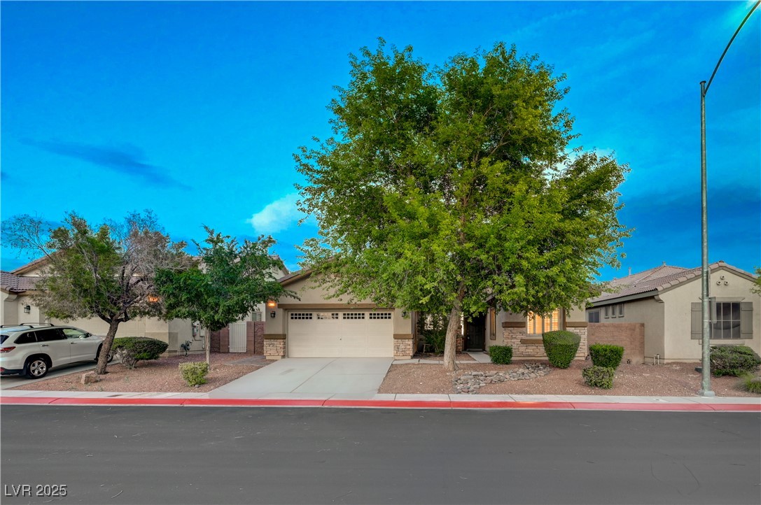 8128 Devils Canyon Street Property Photo 1