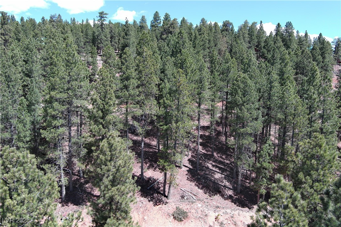 2195 Sleepy Meadow Lane Property Photo 1