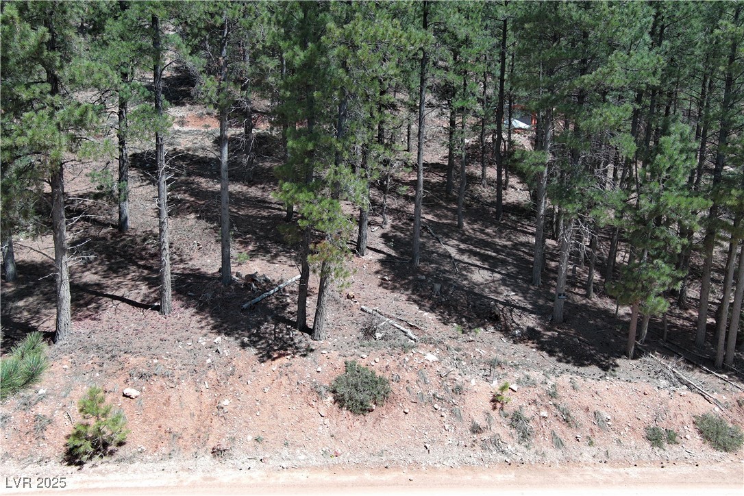 2195 Sleepy Meadow Lane Property Photo 2