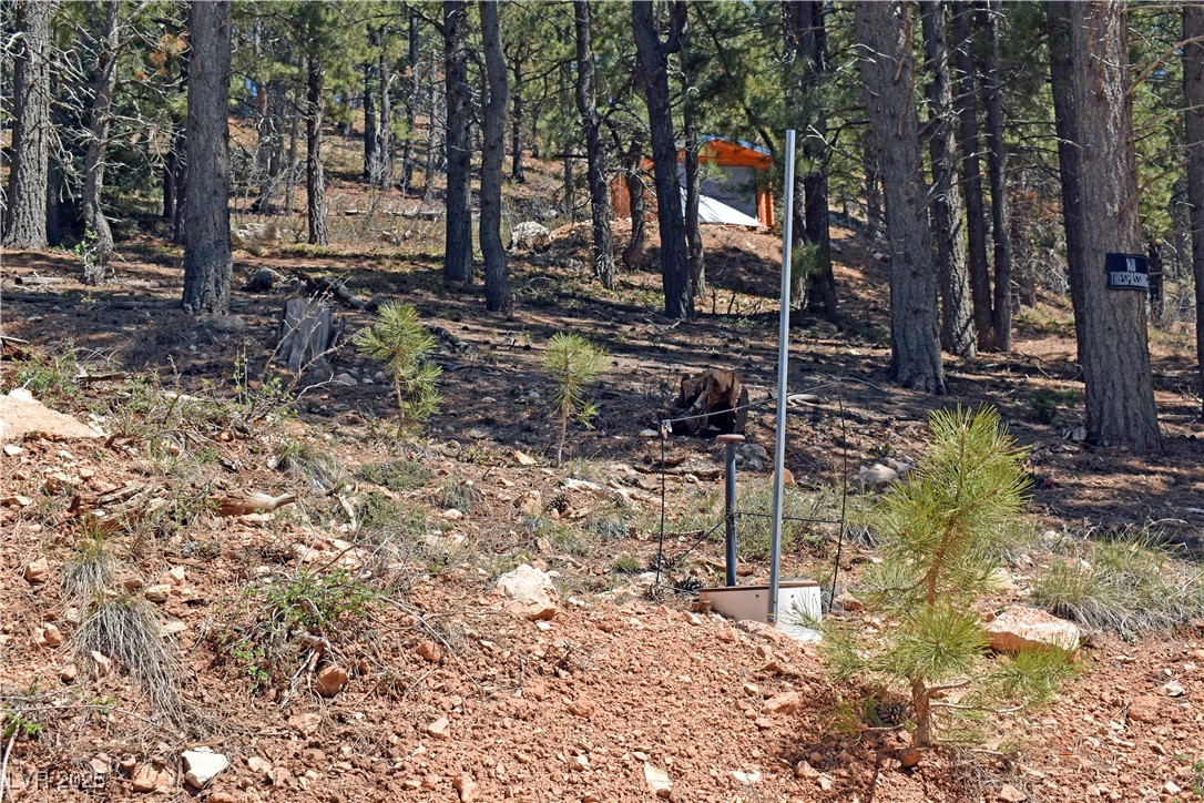 2195 Sleepy Meadow Lane Property Photo 4
