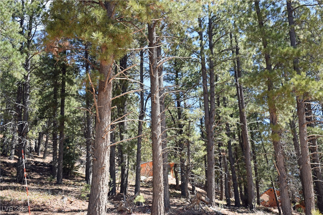 2195 Sleepy Meadow Lane Property Photo 5
