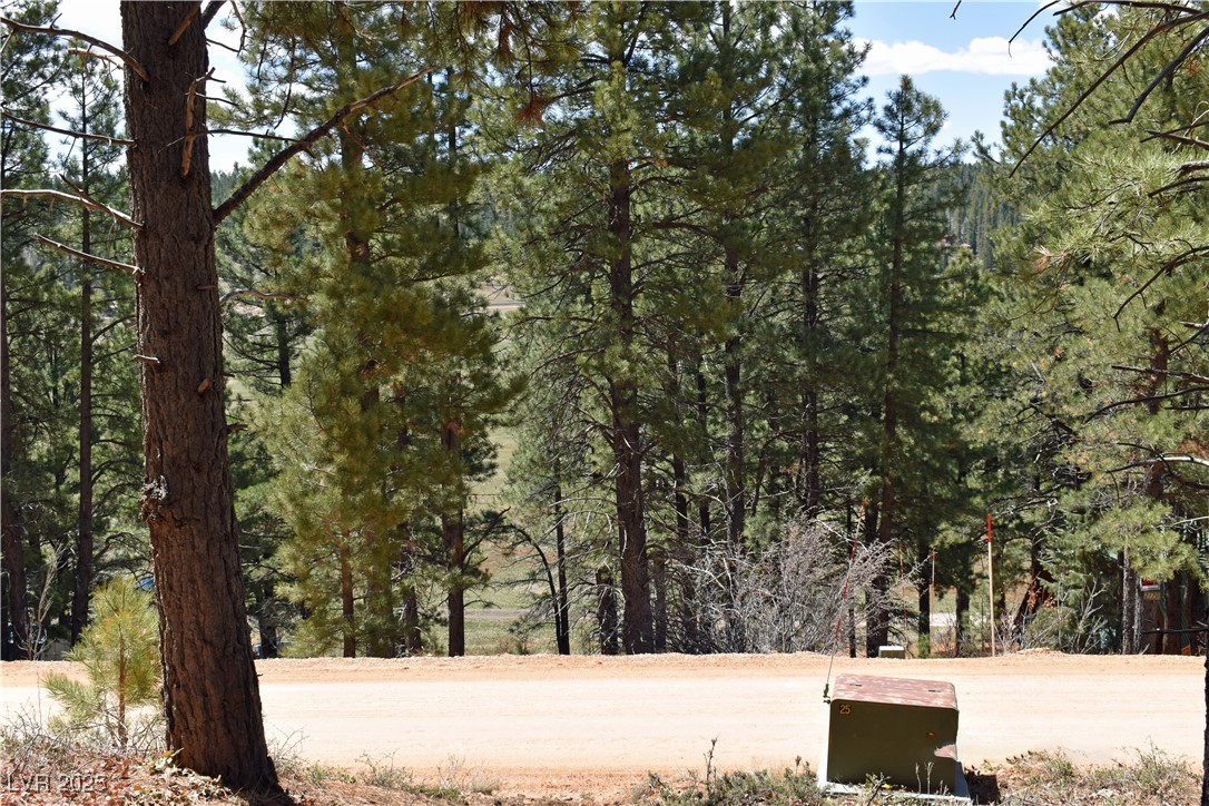 2195 Sleepy Meadow Lane Property Photo 8