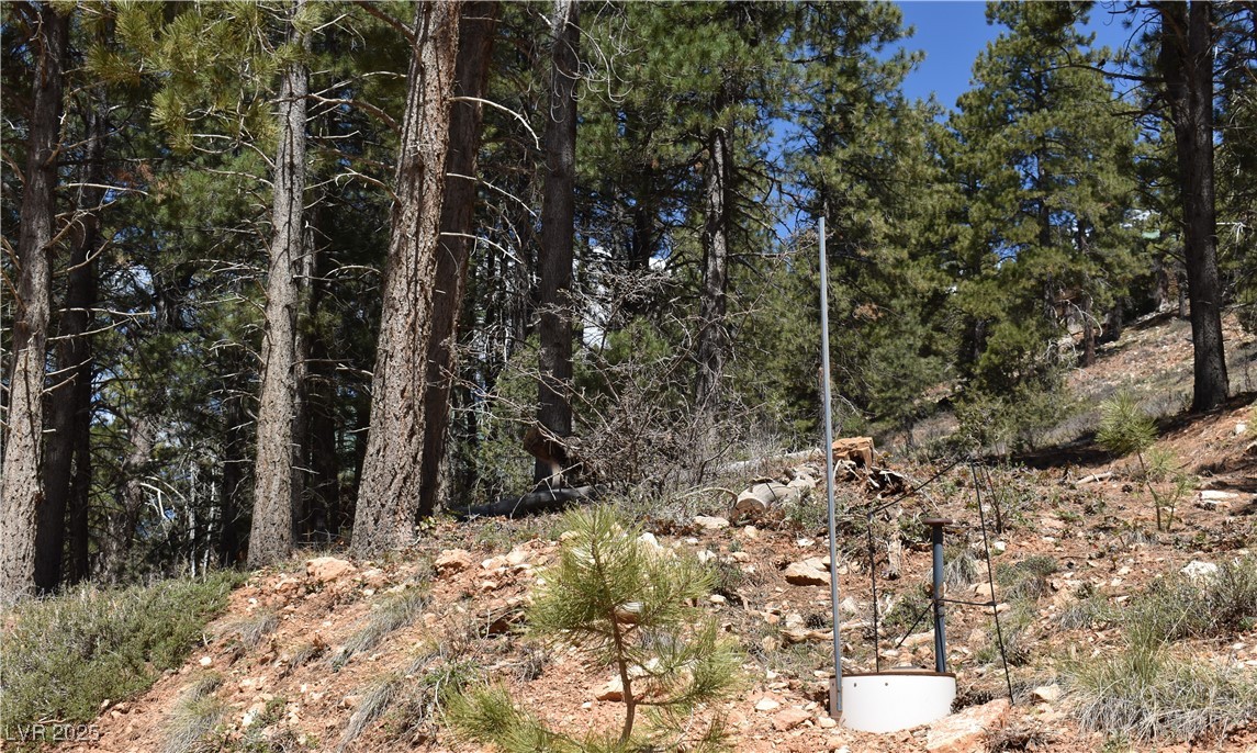 2195 Sleepy Meadow Lane Property Photo 9