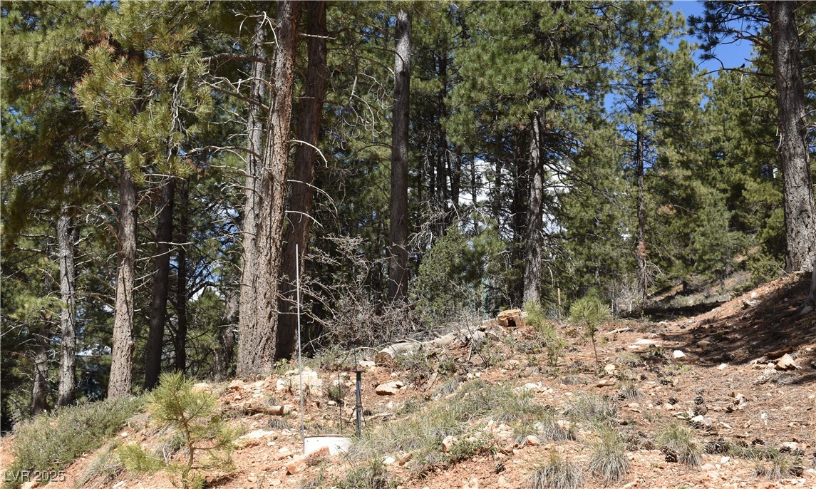 2195 Sleepy Meadow Lane Property Photo 12
