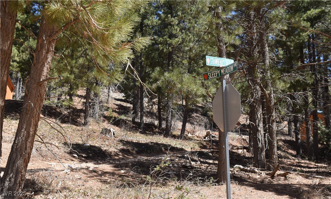 2195 Sleepy Meadow Lane Property Photo 13