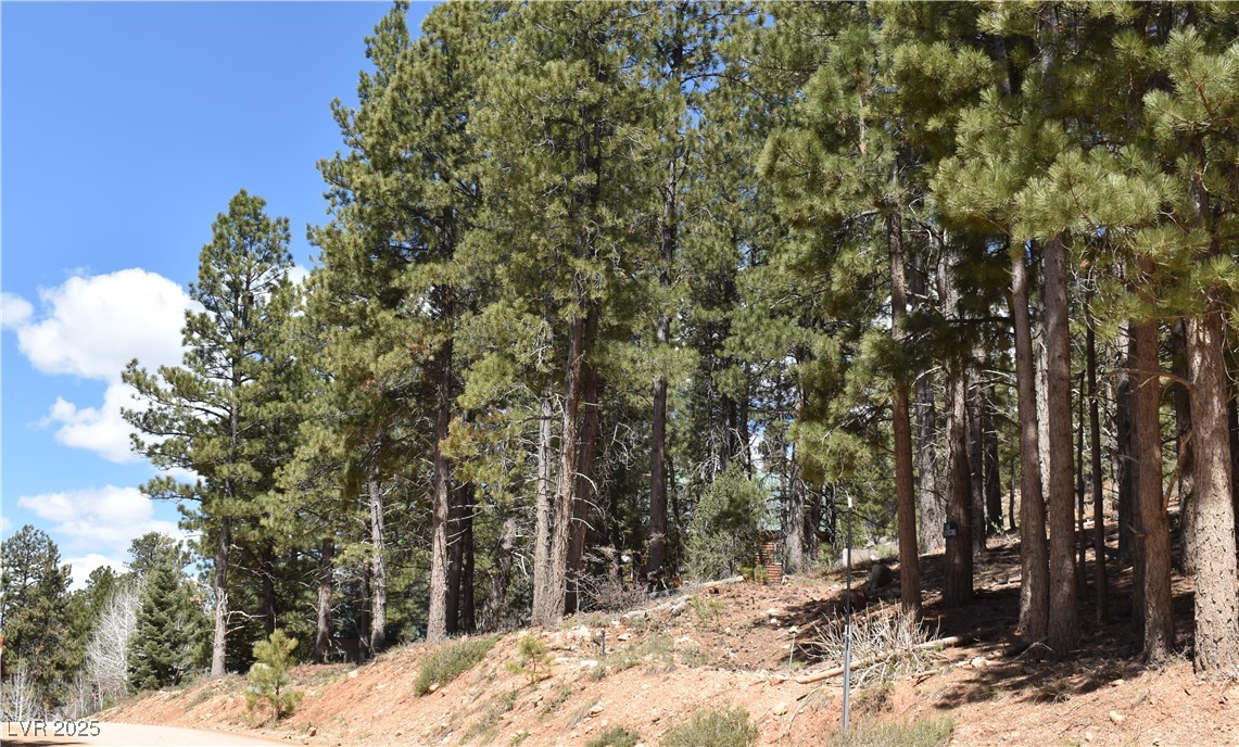 2195 Sleepy Meadow Lane Property Photo 15