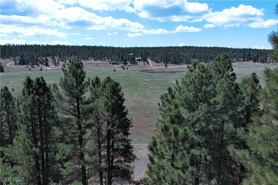 2195 Sleepy Meadow Lane Property Photo 17