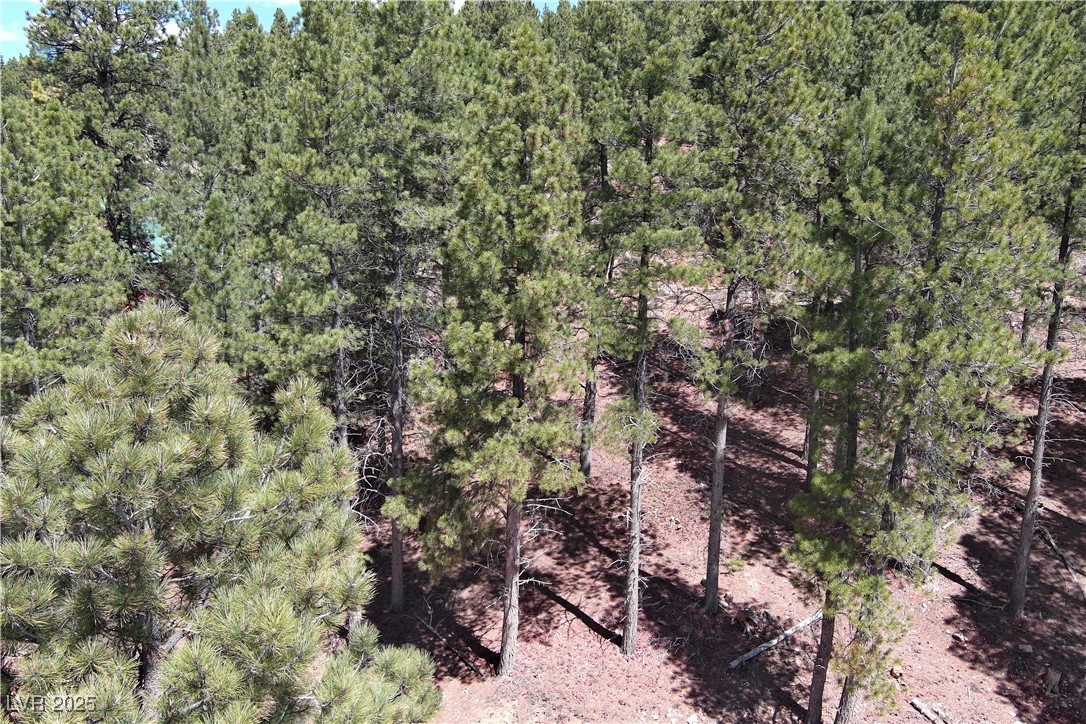 2195 Sleepy Meadow Lane Property Photo 19