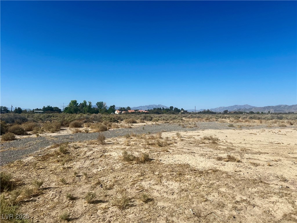 6140 North Alpaca Avenue Property Photo 9
