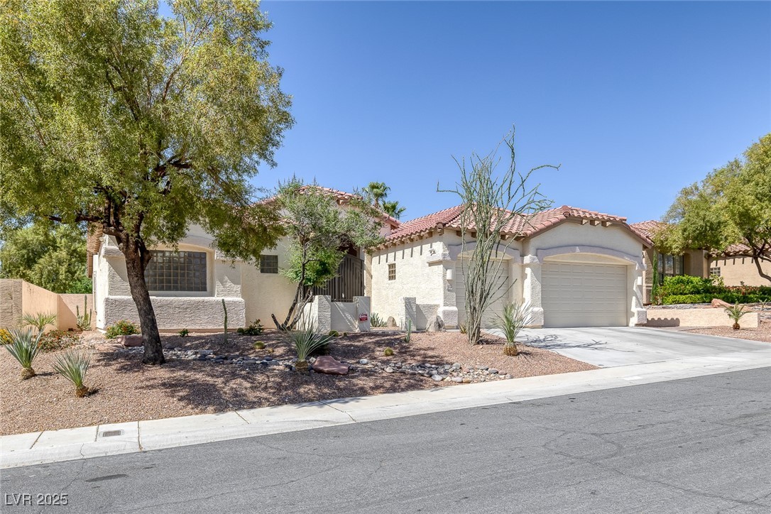 10113 Plomosa Place Property Photo 3