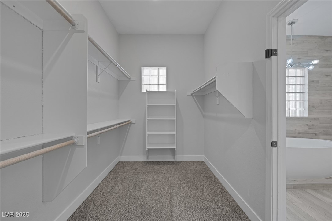 10113 Plomosa Place Property Photo 39