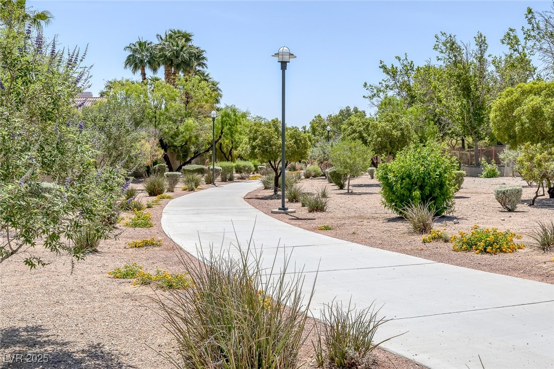 10113 Plomosa Place Property Photo 66