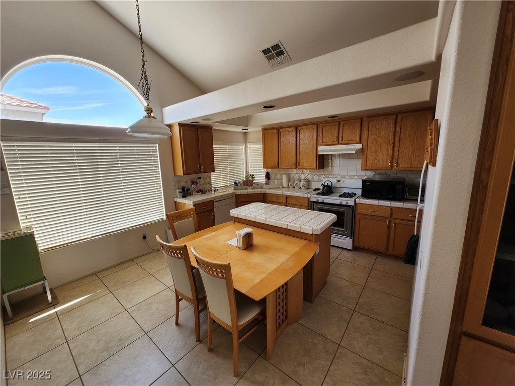 10968 Geyser Peak Street Property Photo 21