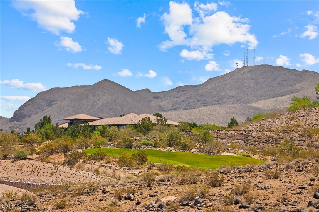 1134 Pandora Canyon Street Property Photo 37