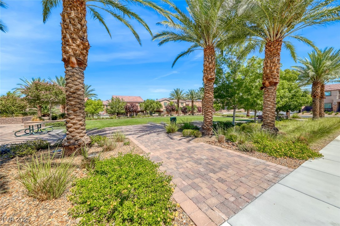 1134 Pandora Canyon Street Property Photo 55