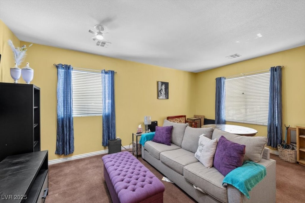 4308 Brazil Palm Court Property Photo 9