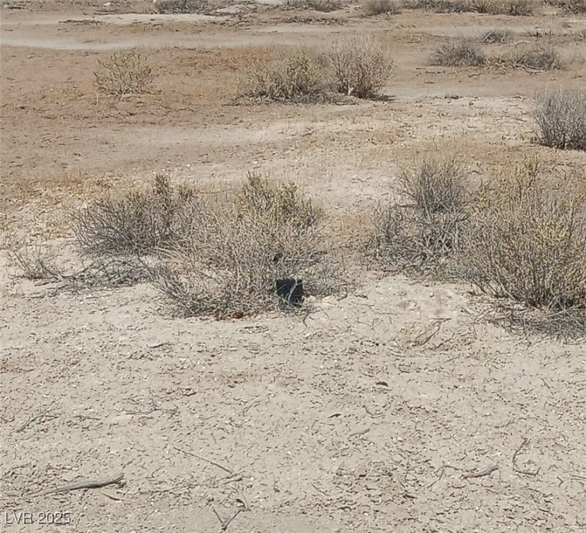 3200 West Retread Road Property Photo 8