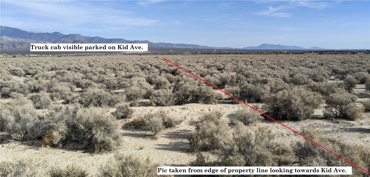 3950 South Kid Avenue Property Photo