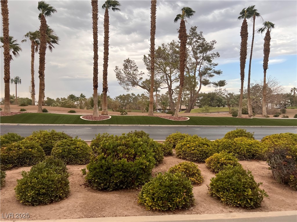 316 Ladies Tee Court Property Photo 3