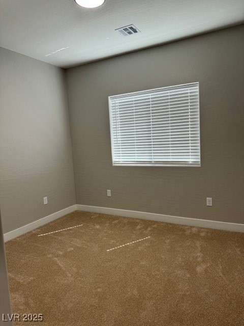 1121 Sixshooter Avenue Property Photo 29