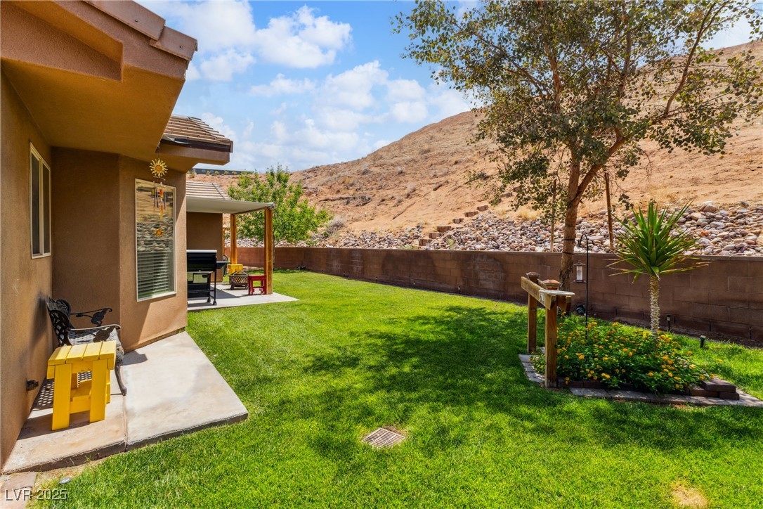 574 Desert Tortoise Way Property Photo 37