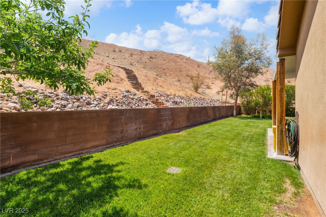 574 Desert Tortoise Way Property Photo 41