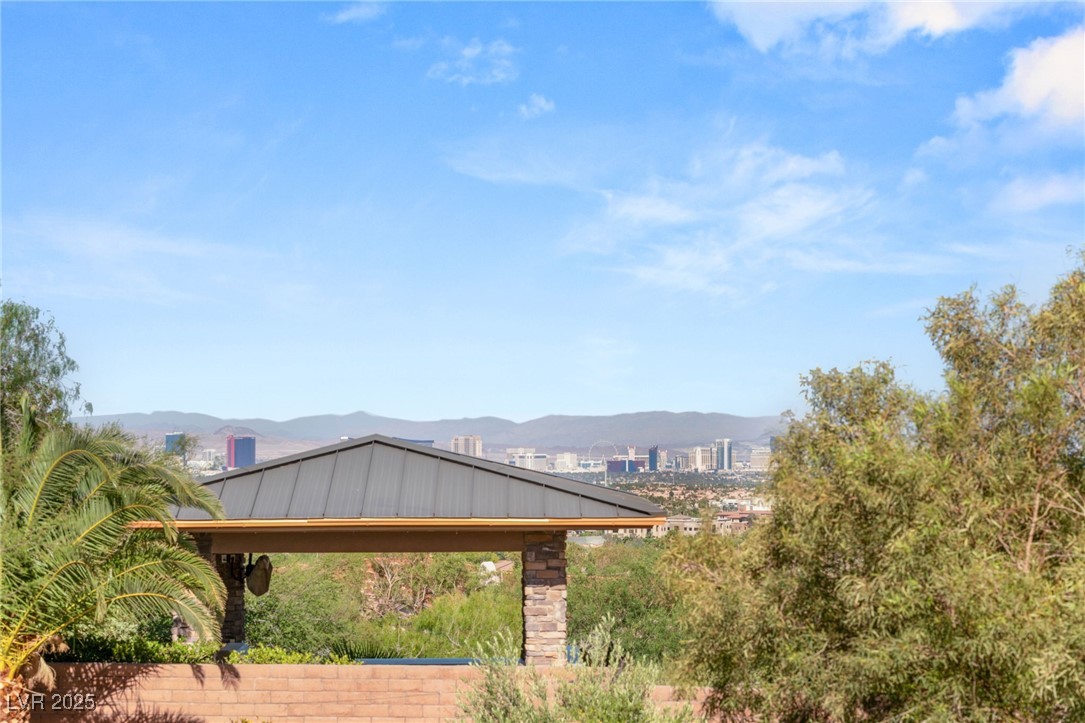 11 Misty Peaks Court Property Photo 49