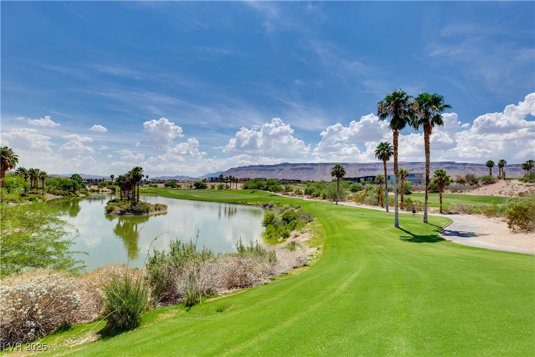 11 Misty Peaks Court Property Photo 80
