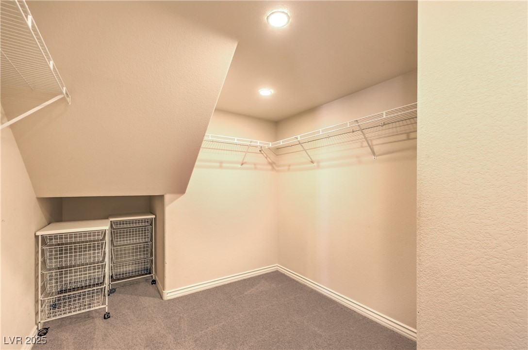 11625 Cabo Del Verde Avenue Property Photo 20