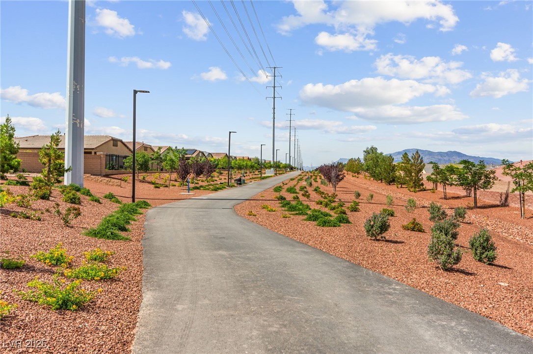10951 Stone Crossing Avenue Property Photo 48