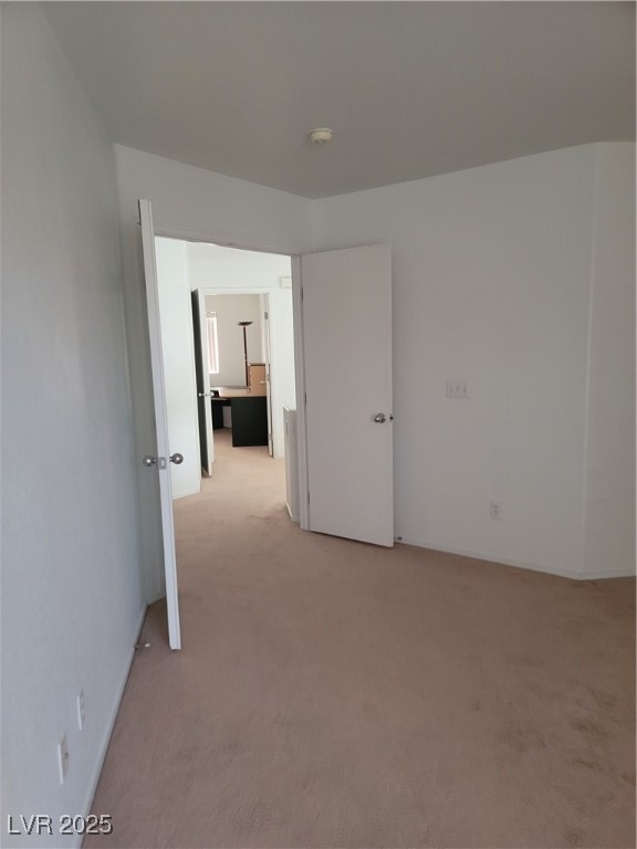 10123 Lemon Thyme Street Property Photo 4