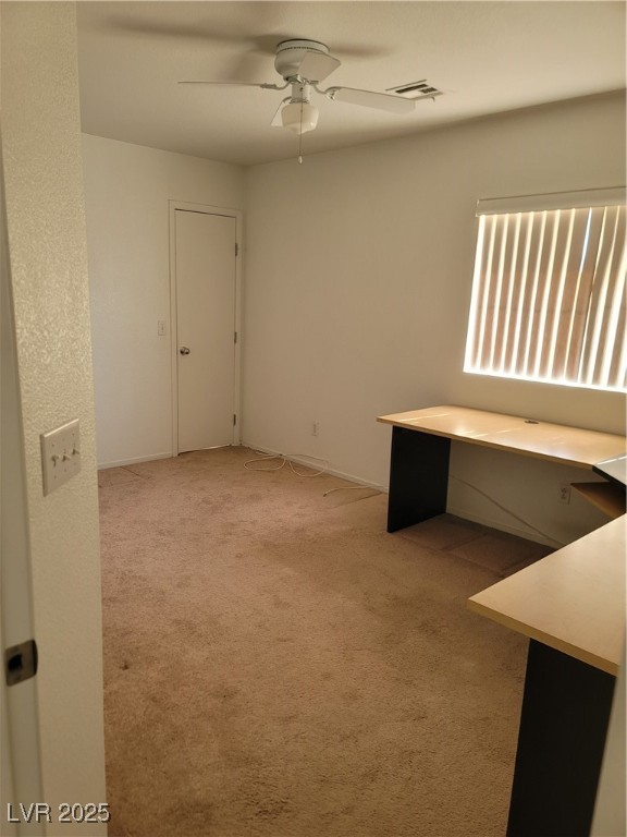 10123 Lemon Thyme Street Property Photo 9