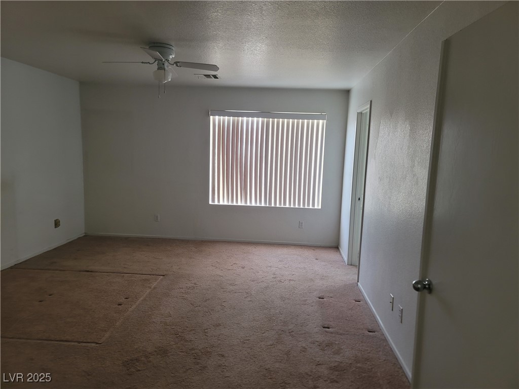 10123 Lemon Thyme Street Property Photo 11