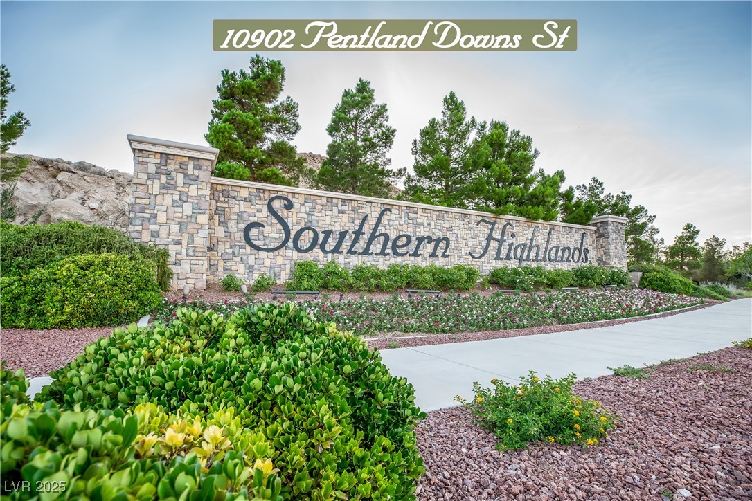 10902 Pentland Downs Street Property Photo 46