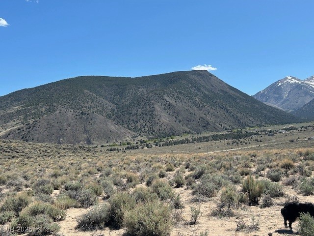 1330 Wild Horse Run Property Photo 4
