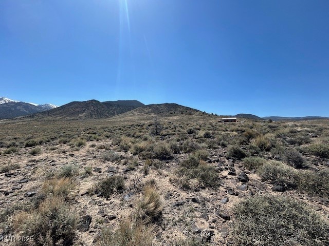 1330 Wild Horse Run Property Photo 6