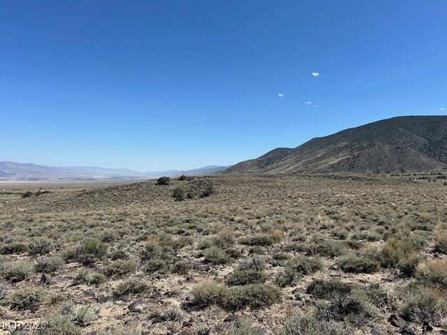 1330 Wild Horse Run Property Photo 8