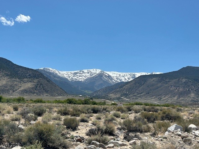 1330 Wild Horse Run Property Photo 10