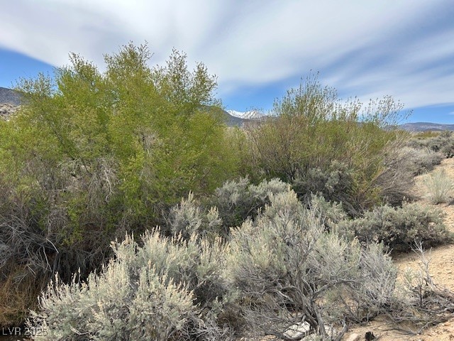 740 CHIATOVICH CREEK