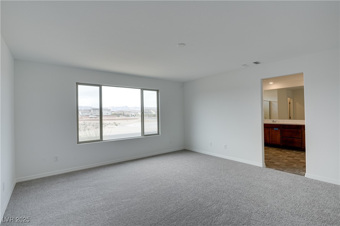 10339 Dallington Street Property Photo 26