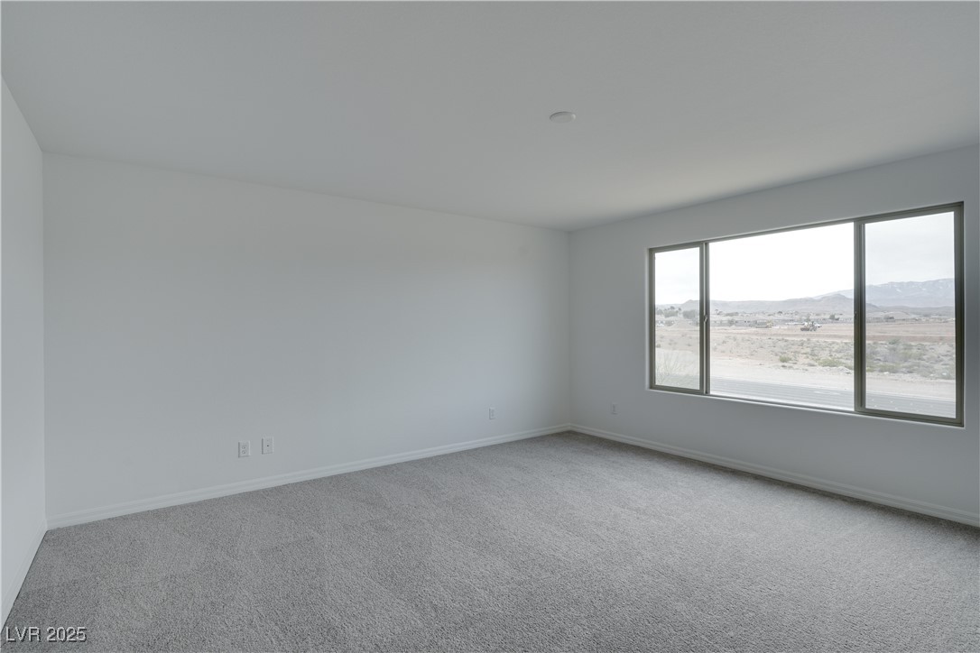 10339 Dallington Street Property Photo 27