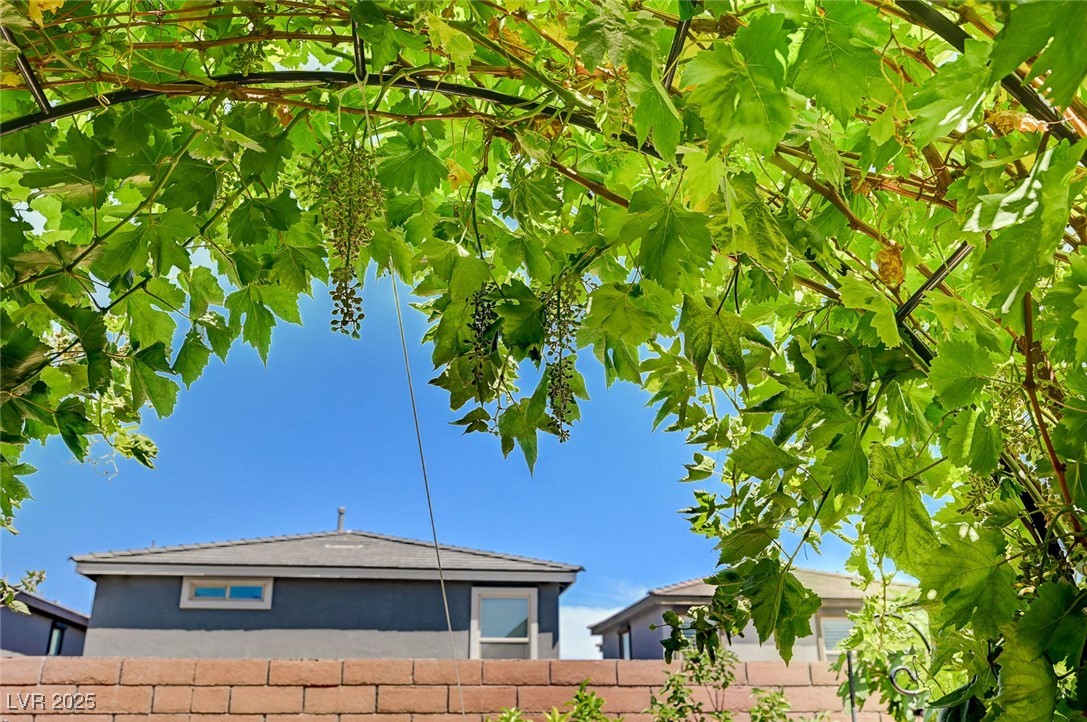 4160 Elegant Chateau Street Property Photo 25