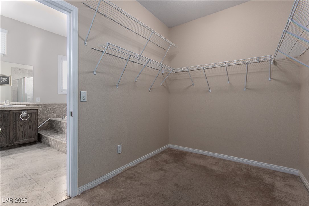 5016 Wayfaring Tree Avenue Property Photo 16