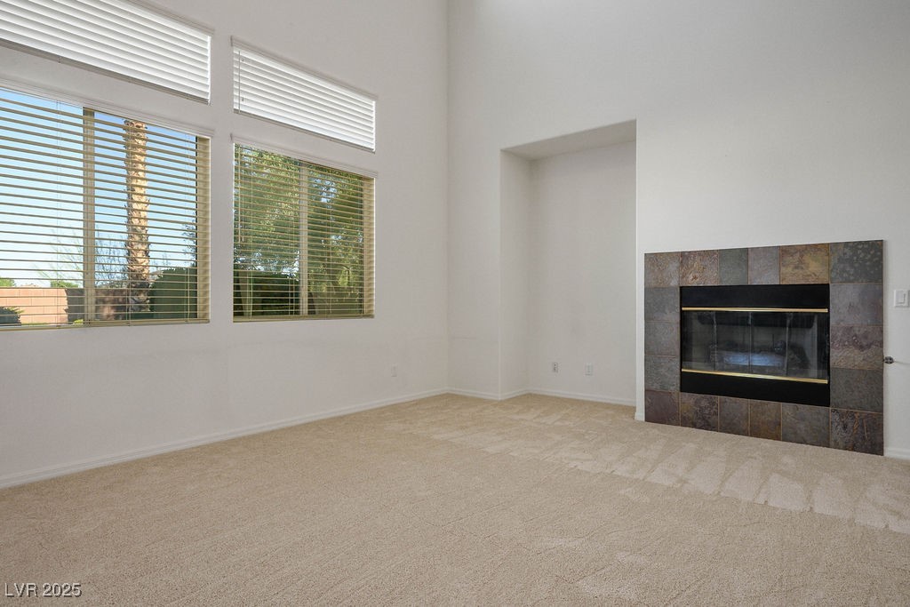 11569 Velicata Court Property Photo 11